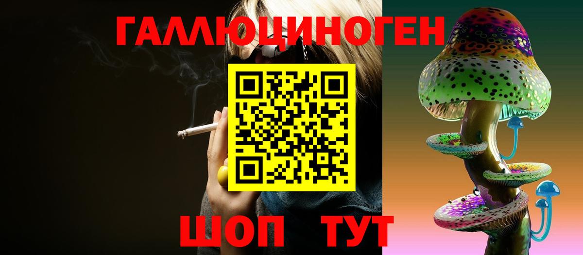 Галлюциногенные грибы Psilocybine cubensis Майкоп