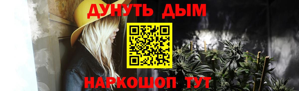 Каннабис семена Майкоп